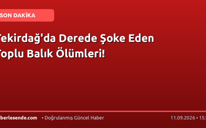 Tekirdağ'da Derede Şoke Eden Toplu Balık Ölümleri!