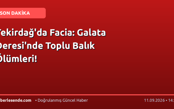 Tekirdağ'da Facia: Galata Deresi'nde Toplu Balık Ölümleri!