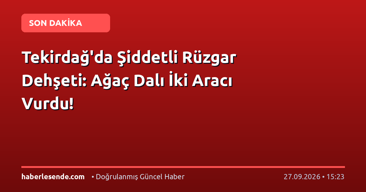 Tekirdağ'da Şiddetli Rüzgar Dehşeti: Ağaç Dalı İki Aracı Vurdu!