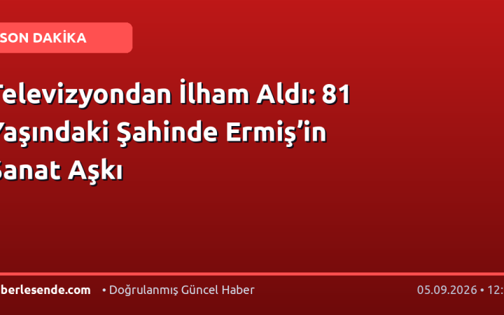 Televizyondan İlham Aldı: 81 Yaşındaki Şahinde Ermiş’in Sanat Aşkı