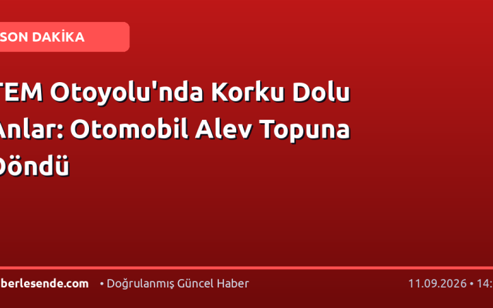 TEM Otoyolu'nda Korku Dolu Anlar: Otomobil Alev Topuna Döndü