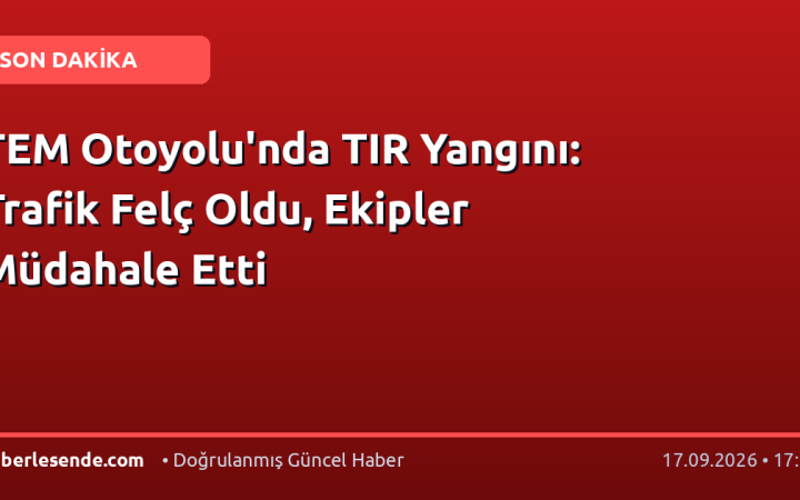 TEM Otoyolu'nda TIR Yangını: Trafik Felç Oldu, Ekipler Müdahale Etti