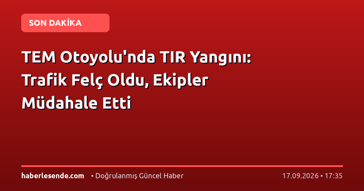 TEM Otoyolu'nda TIR Yangını: Trafik Felç Oldu, Ekipler Müdahale Etti