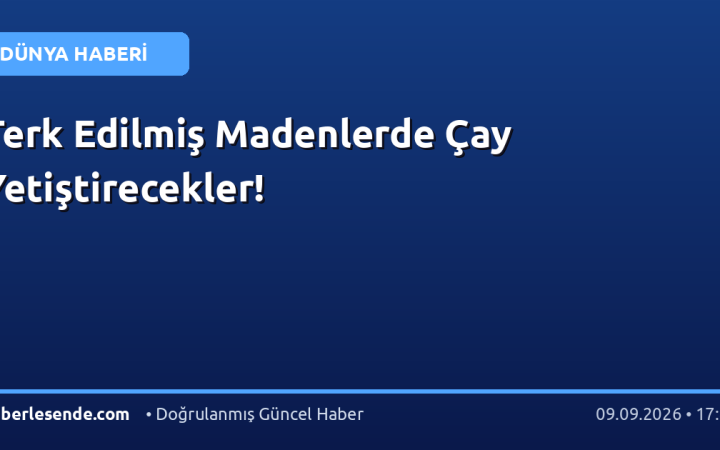 Terk Edilmiş Madenlerde Çay Yetiştirecekler!