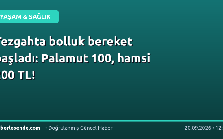 Tezgahta bolluk bereket başladı: Palamut 100, hamsi 200 TL!