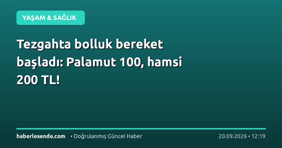 Tezgahta bolluk bereket başladı: Palamut 100, hamsi 200 TL!