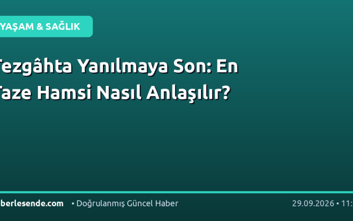 Tezgâhta Yanılmaya Son: En Taze Hamsi Nasıl Anlaşılır?