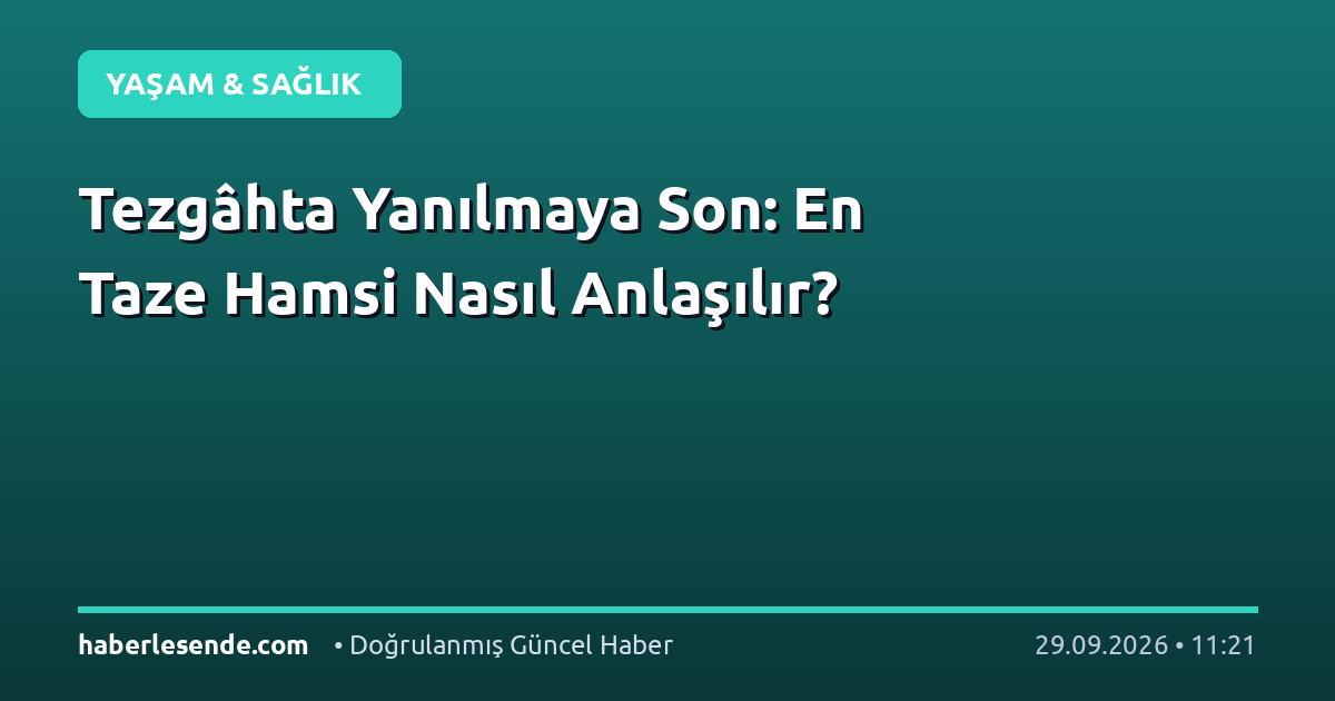Tezgâhta Yanılmaya Son: En Taze Hamsi Nasıl Anlaşılır?