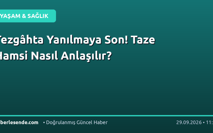 Tezgâhta Yanılmaya Son! Taze Hamsi Nasıl Anlaşılır?