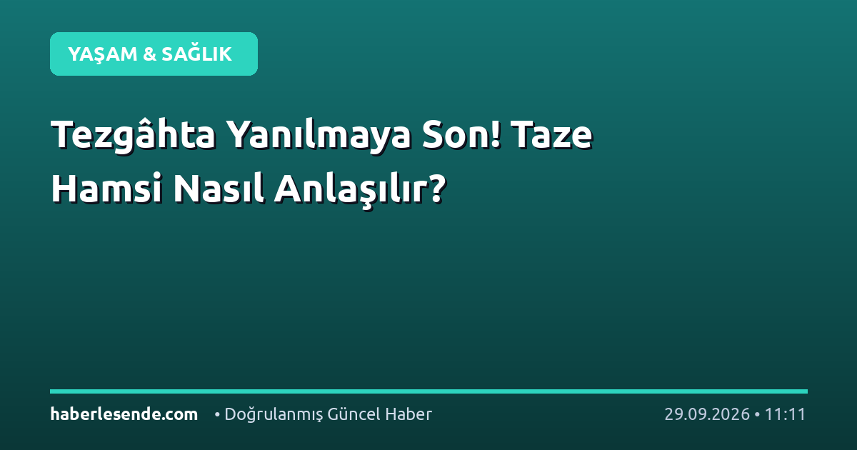 Tezgâhta Yanılmaya Son! Taze Hamsi Nasıl Anlaşılır?