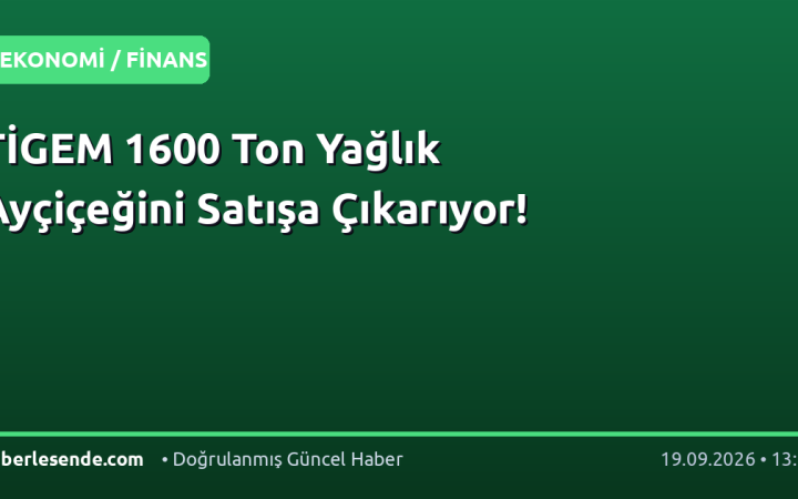 TİGEM 1600 Ton Yağlık Ayçiçeğini Satışa Çıkarıyor!