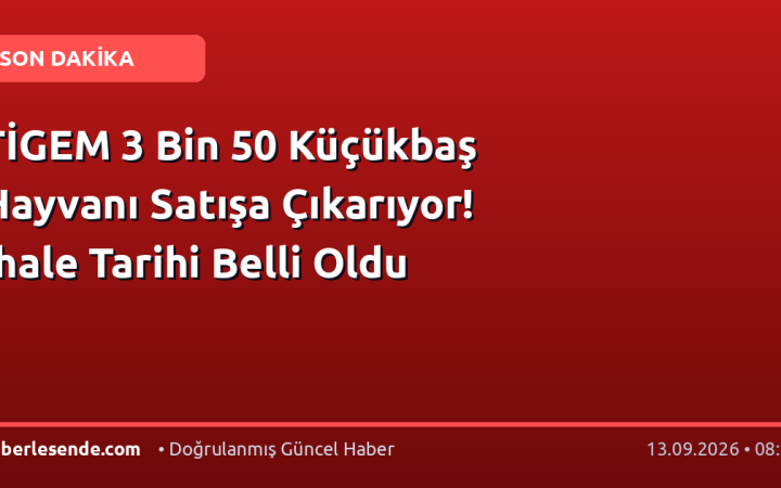 TİGEM 3 Bin 50 Küçükbaş Hayvanı Satışa Çıkarıyor! İhale Tarihi Belli Oldu