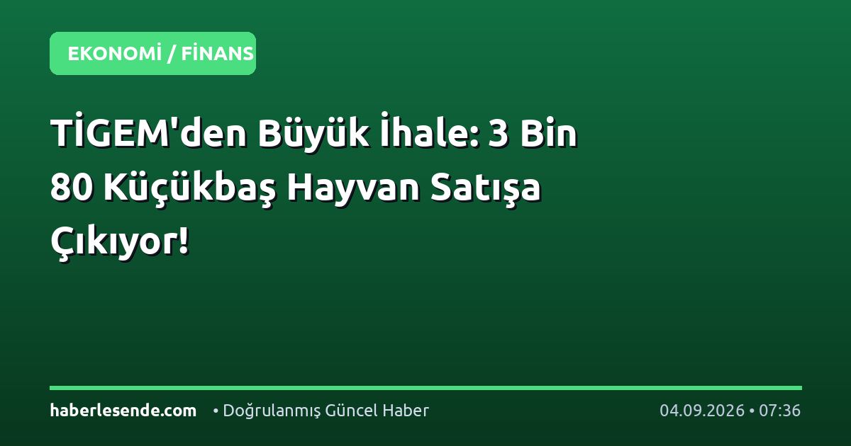 TİGEM'den Büyük İhale: 3 Bin 80 Küçükbaş Hayvan Satışa Çıkıyor!