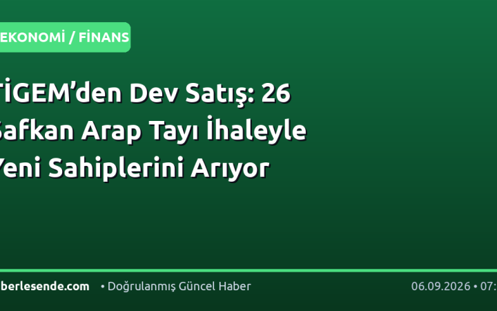 TİGEM’den Dev Satış: 26 Safkan Arap Tayı İhaleyle Yeni Sahiplerini Arıyor