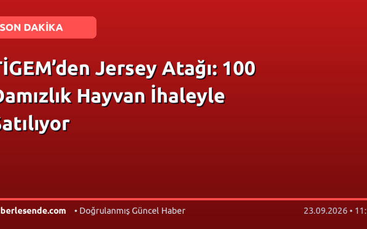 TİGEM’den Jersey Atağı: 100 Damızlık Hayvan İhaleyle Satılıyor
