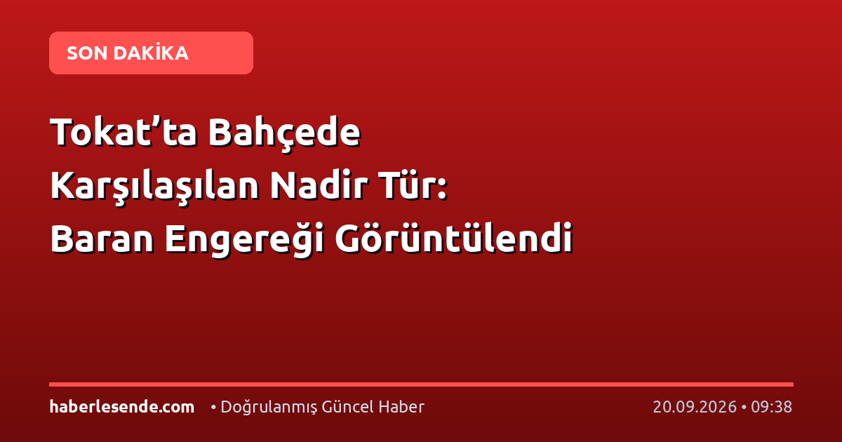 Tokat’ta Bahçede Karşılaşılan Nadir Tür: Baran Engereği Görüntülendi