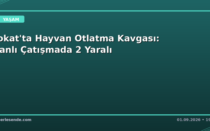 Tokat'ta Hayvan Otlatma Kavgası: Kanlı Çatışmada 2 Yaralı