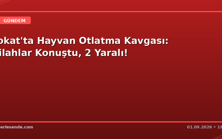Tokat'ta Hayvan Otlatma Kavgası: Silahlar Konuştu, 2 Yaralı!