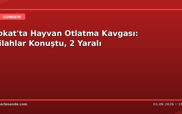 Tokat'ta Hayvan Otlatma Kavgası: Silahlar Konuştu, 2 Yaralı