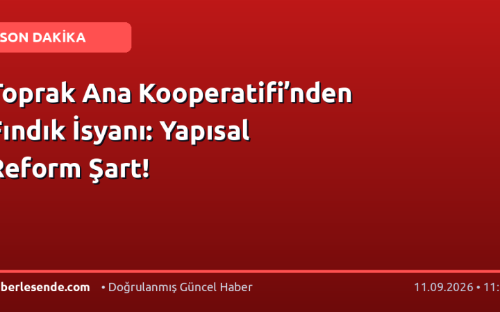 Toprak Ana Kooperatifi’nden Fındık İsyanı: Yapısal Reform Şart!