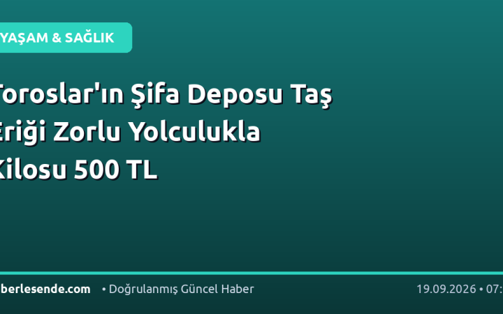 Toroslar'ın Şifa Deposu Taş Eriği Zorlu Yolculukla Kilosu 500 TL