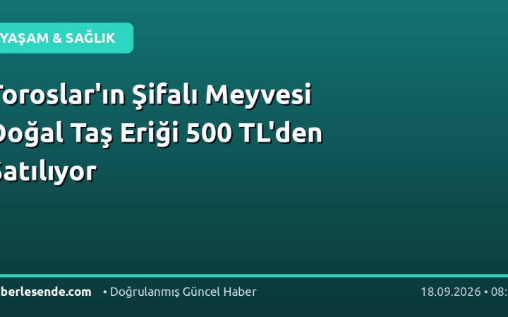 Toroslar'ın Şifalı Meyvesi Doğal Taş Eriği 500 TL'den Satılıyor