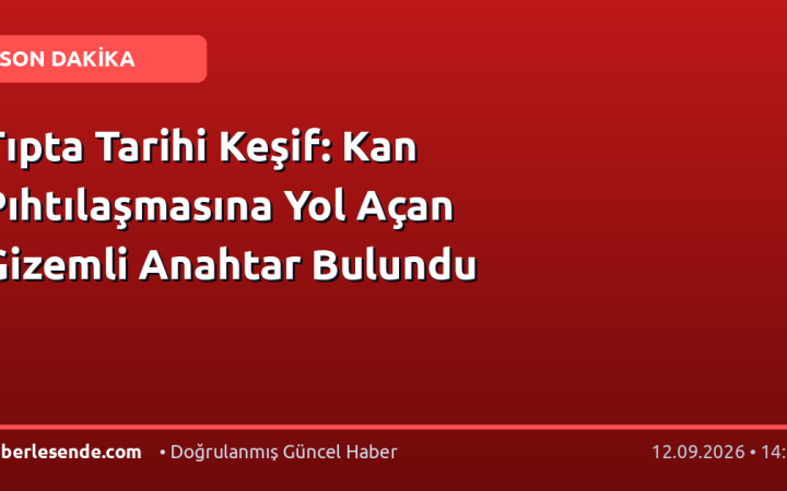 Tıpta Tarihi Keşif: Kan Pıhtılaşmasına Yol Açan Gizemli Anahtar Bulundu