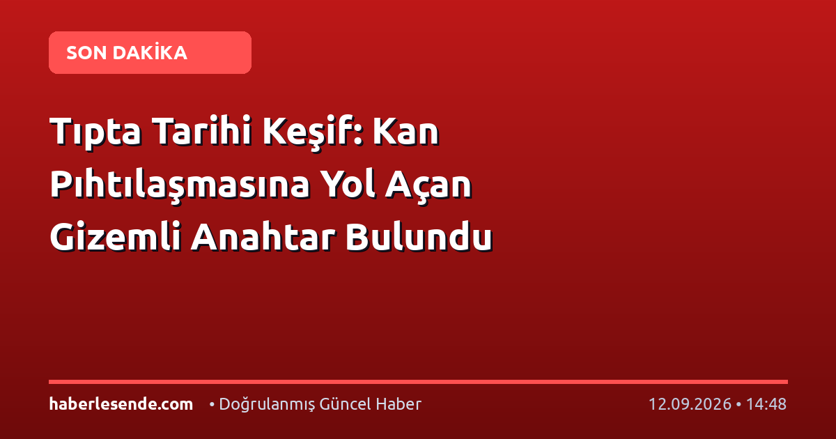Tıpta Tarihi Keşif: Kan Pıhtılaşmasına Yol Açan Gizemli Anahtar Bulundu