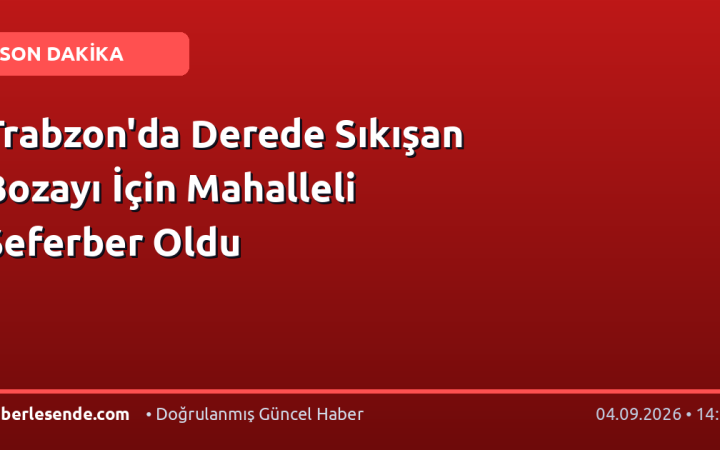 Trabzon'da Derede Sıkışan Bozayı İçin Mahalleli Seferber Oldu