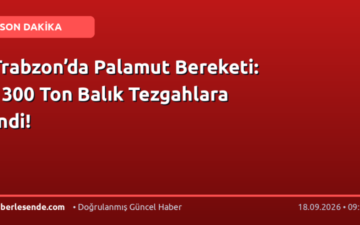 Trabzon’da Palamut Bereketi: 1300 Ton Balık Tezgahlara İndi!