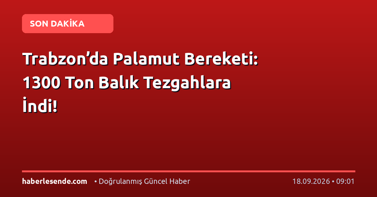 Trabzon’da Palamut Bereketi: 1300 Ton Balık Tezgahlara İndi!