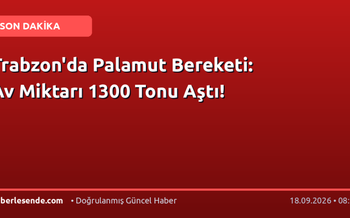 Trabzon'da Palamut Bereketi: Av Miktarı 1300 Tonu Aştı!