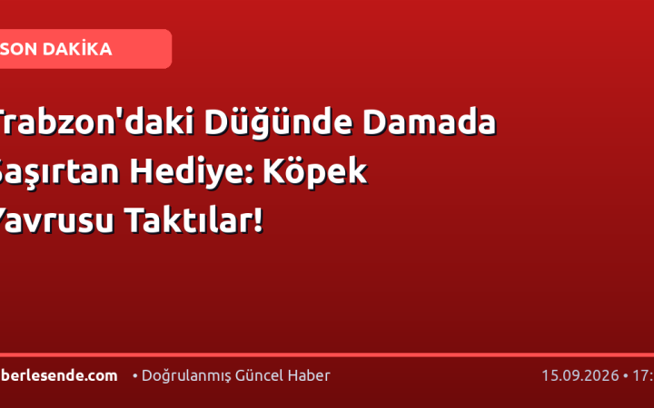 Trabzon'daki Düğünde Damada Şaşırtan Hediye: Köpek Yavrusu Taktılar!