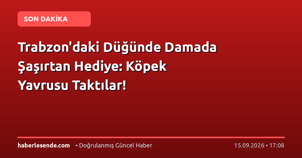 Trabzon'daki Düğünde Damada Şaşırtan Hediye: Köpek Yavrusu Taktılar!