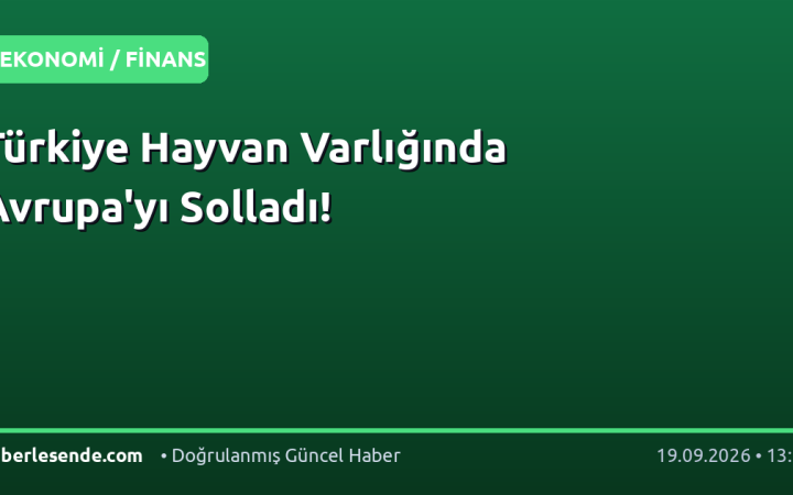 Türkiye Hayvan Varlığında Avrupa'yı Solladı!
