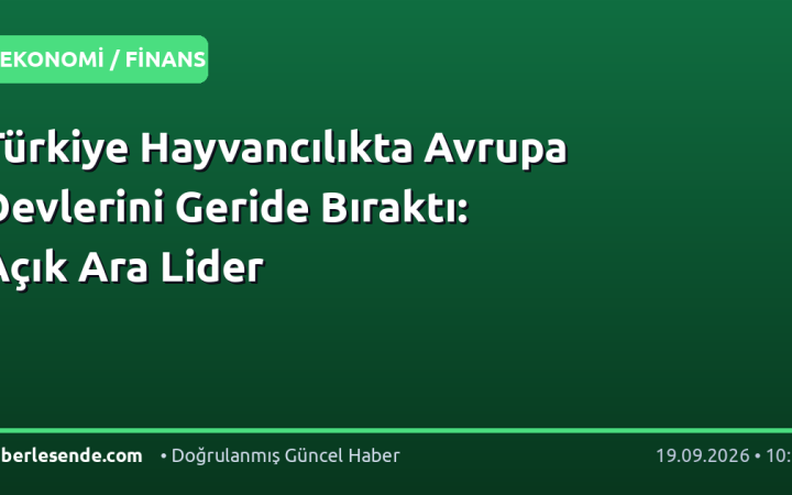 Türkiye Hayvancılıkta Avrupa Devlerini Geride Bıraktı: Açık Ara Lider