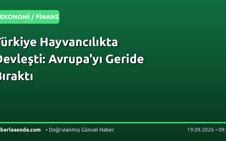 Türkiye Hayvancılıkta Devleşti: Avrupa'yı Geride Bıraktı