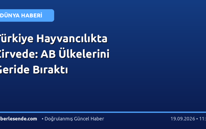 Türkiye Hayvancılıkta Zirvede: AB Ülkelerini Geride Bıraktı