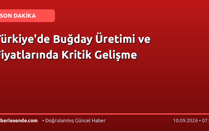 Türkiye'de Buğday Üretimi ve Fiyatlarında Kritik Gelişme