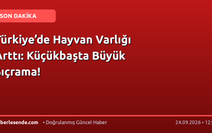Türkiye’de Hayvan Varlığı Arttı: Küçükbaşta Büyük Sıçrama!
