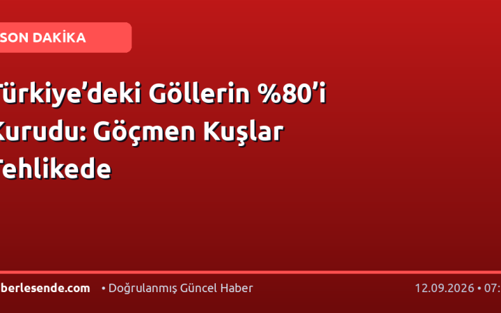 Türkiye’deki Göllerin ’i Kurudu: Göçmen Kuşlar Tehlikede