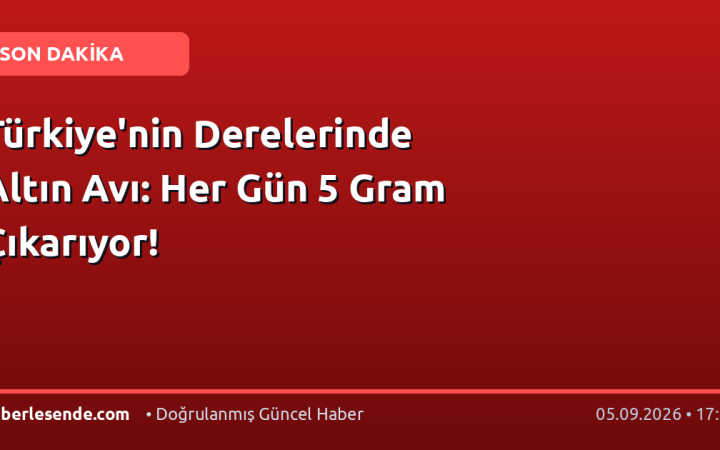 Türkiye'nin Derelerinde Altın Avı: Her Gün 5 Gram Çıkarıyor!