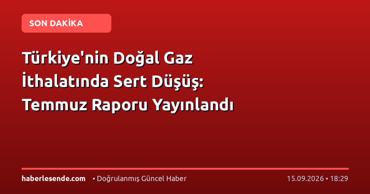 Türkiye'nin Doğal Gaz İthalatında Sert Düşüş: Temmuz Raporu Yayınlandı