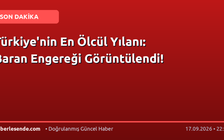 Türkiye'nin En Ölcül Yılanı: Baran Engereği Görüntülendi!