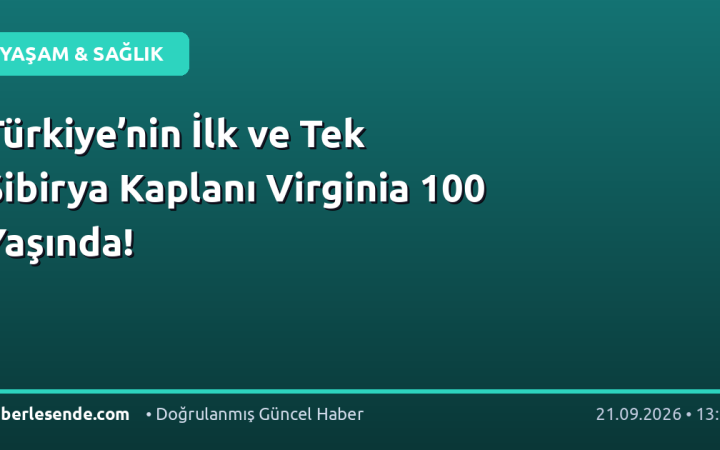 Türkiye’nin İlk ve Tek Sibirya Kaplanı Virginia 100 Yaşında!