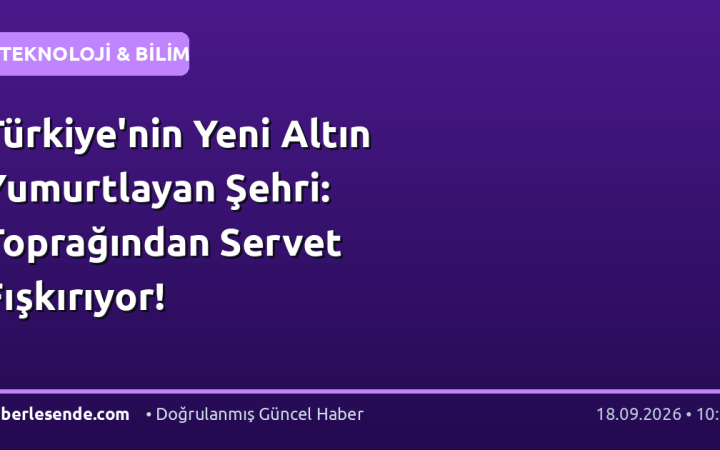 Türkiye'nin Yeni Altın Yumurtlayan Şehri: Toprağından Servet Fışkırıyor!