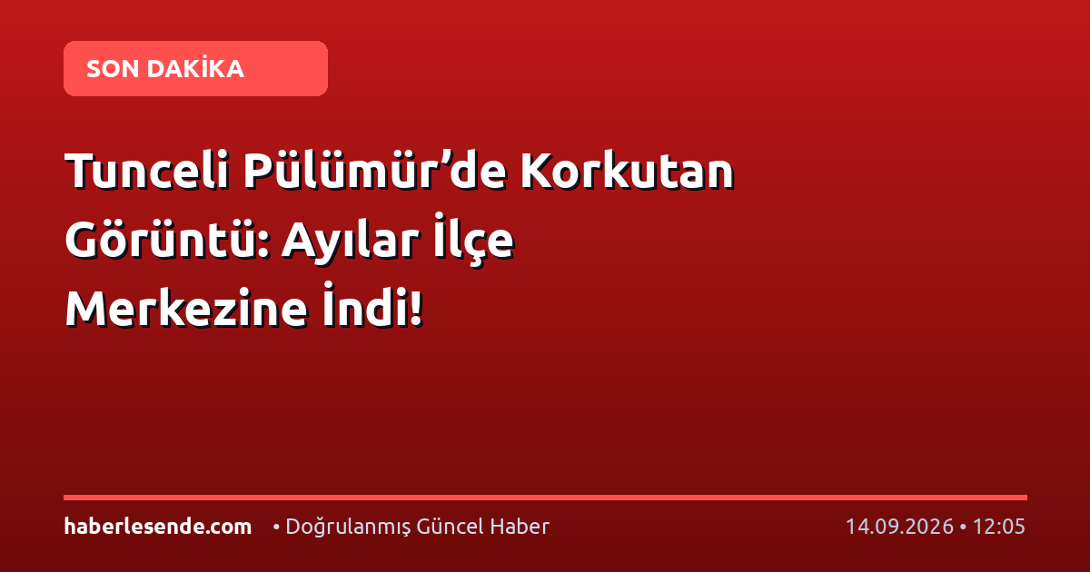 Tunceli Pülümür’de Korkutan Görüntü: Ayılar İlçe Merkezine İndi!