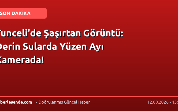 Tunceli'de Şaşırtan Görüntü: Derin Sularda Yüzen Ayı Kamerada!