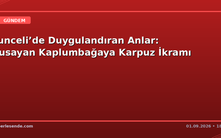 Tunceli’de Duygulandıran Anlar: Susayan Kaplumbağaya Karpuz İkramı