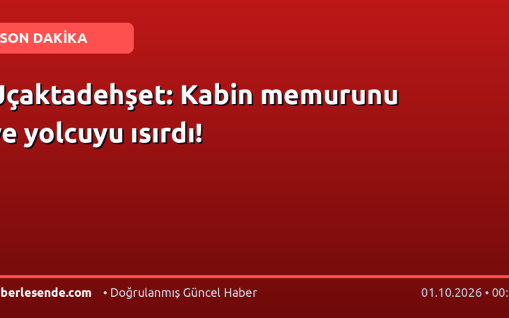 Uçaktadehşet: Kabin memurunu ve yolcuyu ısırdı!